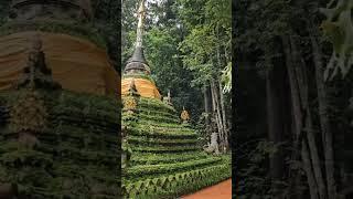 Chiang Mai's Enchanting Green Temple  Thailand