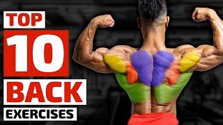 Top Trainers Agree, These are the 10 Best Exercises for Building a Bigger Back