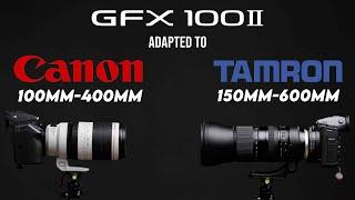 GFX 100 II Telephoto Lenses - Canon 100-400mm and Tamron 150-600mm