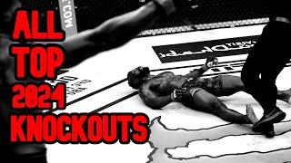 All Top Knockouts 2024 in MMA