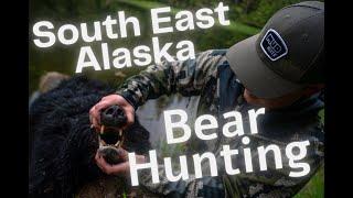 Takin Bear of Business: DIY SouthEast Alaska Black Bear Hunting and Halibut fishing.
