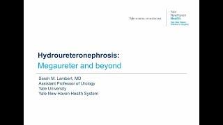 5.28.2020 Urology COViD Didactics - Hydroureteronephrosis: Megaureter and Beyond