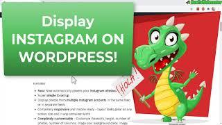 How to Display Instagram Feed Gallery  From Multiple Accounts in Wordpress -  FREE PLUGIN