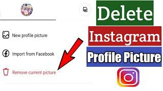How To Delete Profile Picture On Instagram 2023