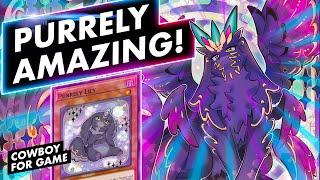 Purrely Power post CYAC!  Deckprofile + Basic Combos + Replays  Project Ignis- YuGiOh