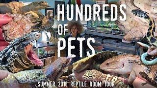 Reptile Room Tour Summer 2018 | HUNDREDS OF ANIMALS in ONE Room!