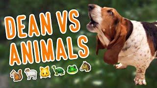 Dean vs. animals!! 