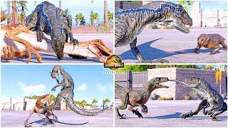 Blue, Echo & Other Velociraptors All Perfect Animations & Interactions  Jurassic World Evolution 2
