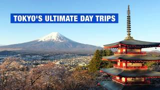7 Best Day Trips from Tokyo  Breathtaking Flower Fields & Mt. Fuji Views