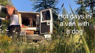 Living in my van | how I stay cool in my van with a dog during hot summer days #summer #vanlife #dog