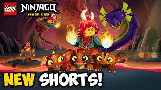 New CANON Ninjago Shorts Announced!  Wyldfyre: Return to the Wyldness