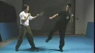 Counter Kick 8 demonstrate by Master Lijun Wang #SelfDefense#Gongfu#Kungfu#Qinna#MartialArts#taichi