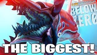 *NEW* The Biggest LEVIATHAN in Subnautica Below Zero - The Chelicerate