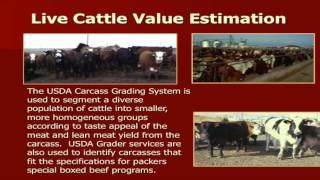 Lecture 18 part 1- Yield and Quality Grading of Live Cattle