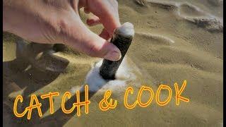 How to catch RAZOR CLAMS - Coastal Sea Foraging - Catch & Cook - Dorset Fishing - Low Tide Foraging