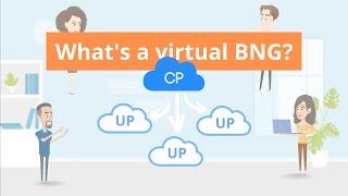 What is a Virtual BNG? | vBNG | Mettle Networks