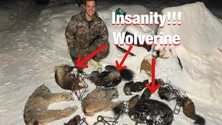 S21Ep7: INSANITY on the Trapline! Lynx, Marten, and Wolverine Trapping