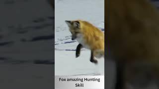 Fox Amazing Hunting skills | Fox amazing clips | Snow hunting videos #shorts #shortsvideo