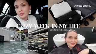 Cozy Fall Weekly Vlog ️ / Normaler Alltag, romantic get away & new hair