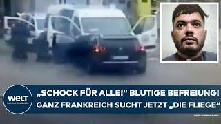 FRANKREICH: "Schock für alle!" Blutige Befreiung! Das ganze Land sucht jetzt Drogenboss "Die Fliege"