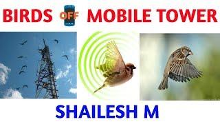 Mobile Phone Radiation Affect Birds | Tamil | Shailesh M