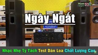 Nhạc Nhẹ Test Loa Êm Ái Ngọt Ngào Như Mật | Dàn Loa Đẹp Hút Hồn - Âm Thanh Chuẩn | Organ Thanh Ngân