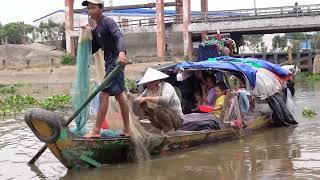 Chài Cá Trên Sông, Trắng Chài, 1 Buổi Trên 100kg Cá , Cá Này Bán Cá Mồi Tiếc Quá #257