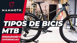 Tipos de bicicletas MTB: modalidades y diferencias