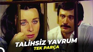 Talihsiz Yavrum | Fatma Girik Eski Türk Filmi Full İzle