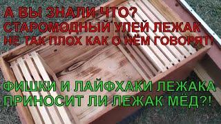 Старомодный УЛЕЙ ЛЕЖАК работа и лайфхаки с лежаком ПРИНОСИТ ЛИ ЛЕЖАК МЁД ️