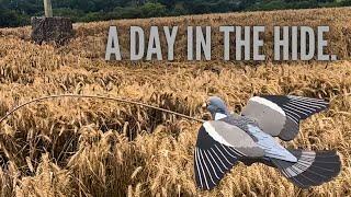 Pigeon Shooting | GoPro Footage | ShotKam | Flighting Wood Pigeons