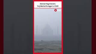 Taj Mahal Shrouded in Fog as Agra Experiences Chilly Weather