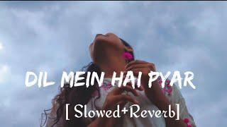 Dil Mein Hai Pyar Tera Hoton Pe Gitwa |Slowed+Reverb | Alka Yagnik | The Hero | Sunny Deol #lofi