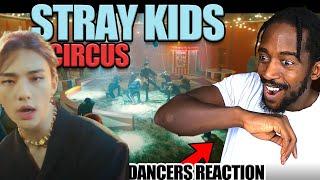 PROFESSIONAL DANCER REACTS  STRAY KIDS | Stray Kids 『CIRCUS』 Music Video REACTION