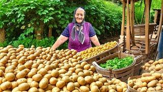 Harvesting Lots of Organic Potatoes and Cooking A Traditional Azerbaijani Dish!