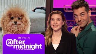 Matt Rogers Knows the Dark Truth About This Adorable Dog