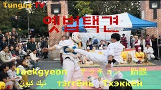 【Martial Art】Taekgeon -- The Invincible Korean Traditional Martial Art. 한국 전통무술인 옛법택견의 놀라운 기술과 파워