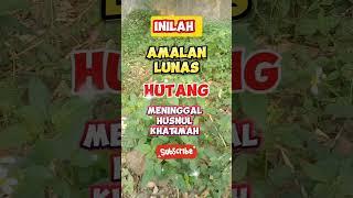 Inilah amalan lunas hutang meninggal Husnul khatimah #islamshorts #dakwahislam #mbahmoen