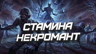 TES: Online - Стамина Некромант (Гайд)