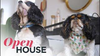 The Stylish and Dog-Friendly Chelsea Apartment of Style Expert, Katie Sturino | Open House TV