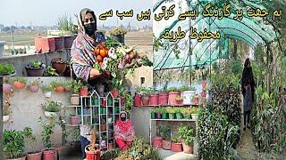 Chat per sabziyan ugyen|Rooftop gardening|Organic vegetables & Care