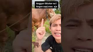 anggun artis TikTok angon sapi