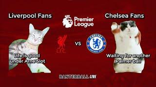 Liverpool 2-1 Chelsea | Cat Memes highlights | Premier League 2024/25