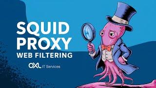 Squid as transparent Proxy | Web Filtering | NFTables TProxy (EN)