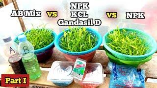 Cara Membuat Nutrisi Hidroponik Sendiri | Apakah NPK KCL Gandasil D Pengganti Ab Mix? (Part I)