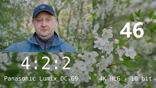 Panasonic Lumix DC-G9   4K HLG - 10 bit  4:2:2