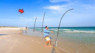 Surf Fishing the Afternoon Bite and Caught This!