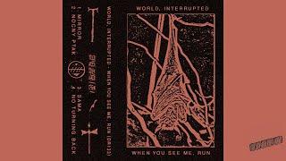 World, Interrupted - When You See Me, Run