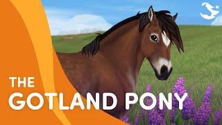 Meet the Gotland Pony! ️ | Star Stable Breeds