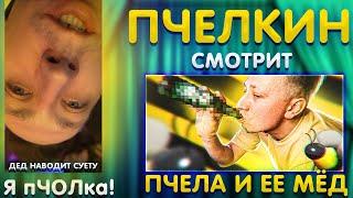 Пчелкин смотрит :  пчела и её мёд) / Алексей Пчелкин В ШОКЕ